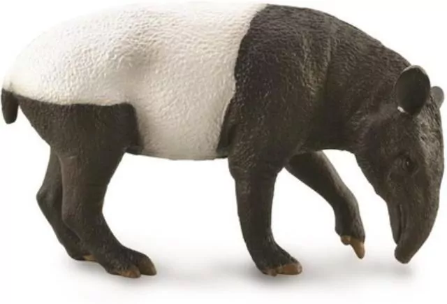 Tapir czaprakowy - tantis.pl