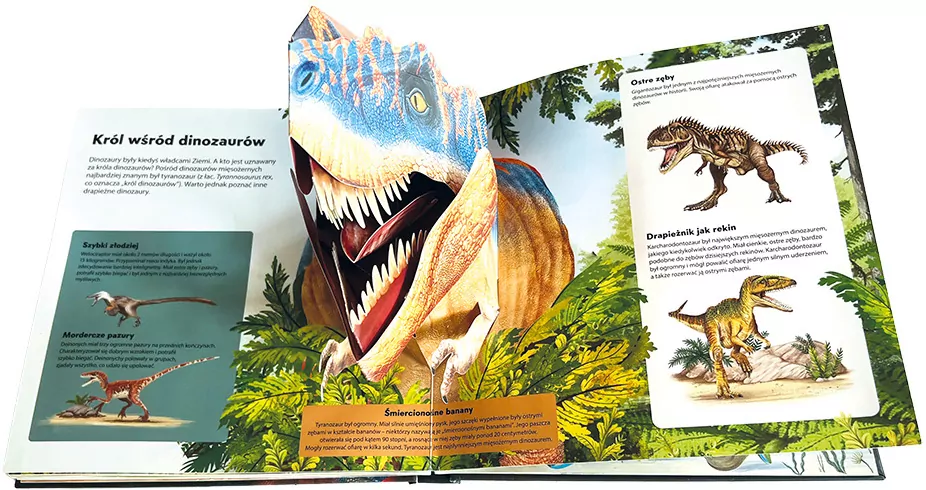 Dinozaury. Książka 3D - tantis.pl