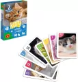 Piotruś Pamięć. Koty - tantis.pl