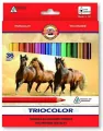 Kredki Triocolor 36 kolorów - tantis.pl