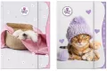 Teczka z gumką A4 The Sweet Pets - Kids mix - tantis.pl