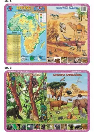 Podkładka edukacyjna. Afryka, pustynia Sahara, dżungla, sawanna - tantis.pl