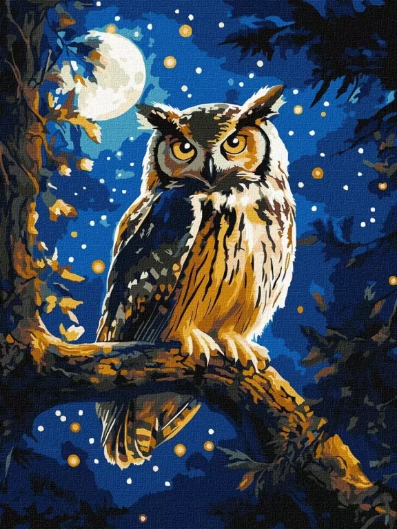 Malowanie po numerach - Nocna Sowa metal 30x40cm - tantis.pl