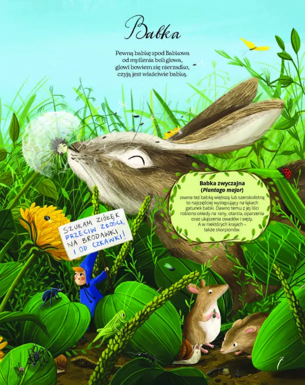 Łąka. Fakty, wierszyki i inne wybryki - tantis.pl