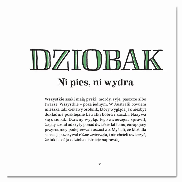 Gęby, dzioby i nochale - tantis.pl