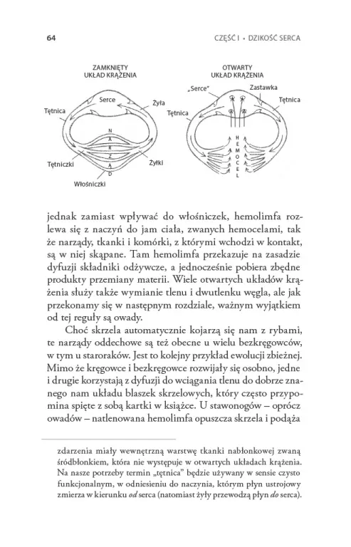 Serce. Historia naturalna - tantis.pl