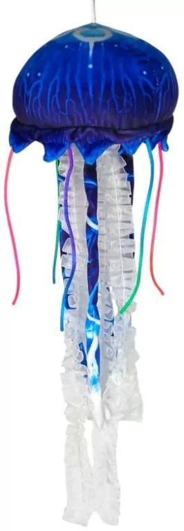 Meduza niebieska - tantis.pl