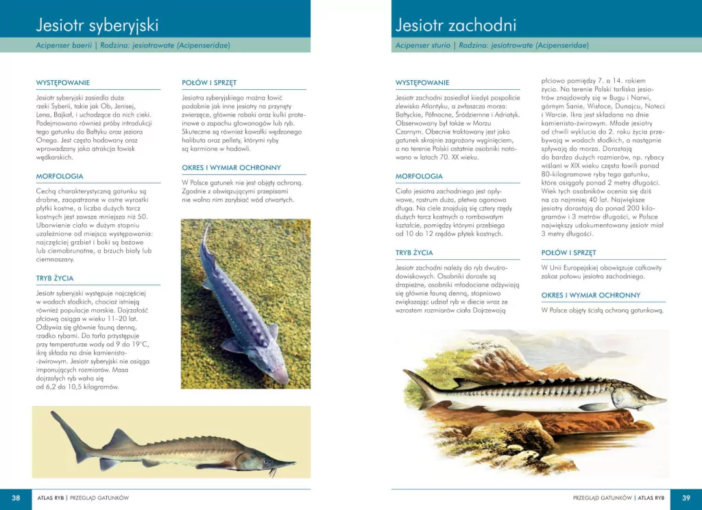 Atlas ryb polskich - tantis.pl