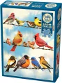 Puzzle 500. Ptasia narada - tantis.pl