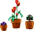 LEGO® Icons. Małe roślinki 10329 - tantis.pl