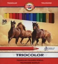 Kredki Triocolor 36 kolorów - tantis.pl