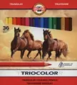 Kredki Triocolor 36 kolorów - tantis.pl