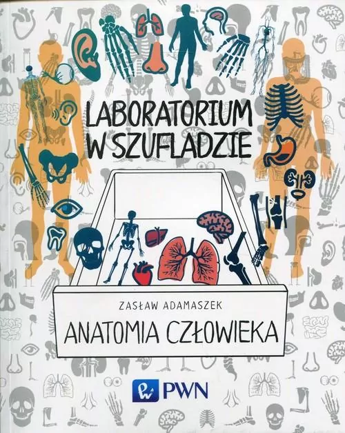 Laboratorium w szufladzie. Anatomia człowieka - tantis.pl