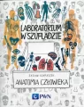 Laboratorium w szufladzie. Anatomia człowieka - tantis.pl
