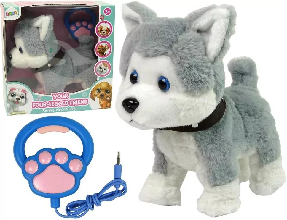Husky interaktywny - tantis.pl