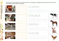 Spotkania z porami roku. Lato - tantis.pl
