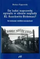 Ile ludzi naprawdę zginęło w obozie zagłady KL Auschwitz -Birkenau? - tantis.pl
