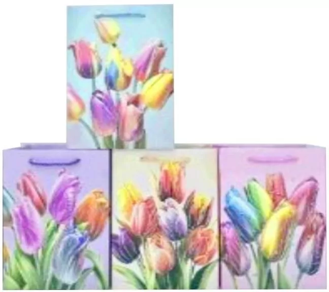 Torba prezentowa mix - tantis.pl
