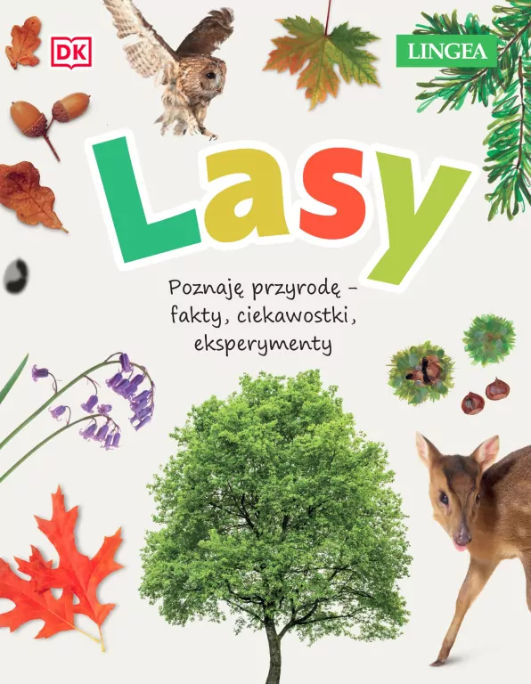 Lasy - tantis.pl