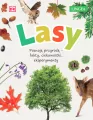 Lasy - tantis.pl