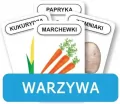Komlogo, karty logopedyczne, Rozwijamy mowę i myślenie dziecka, Warzywa - tantis.pl