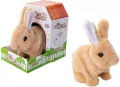 Króliczek na baterie, brązowy - tantis.pl