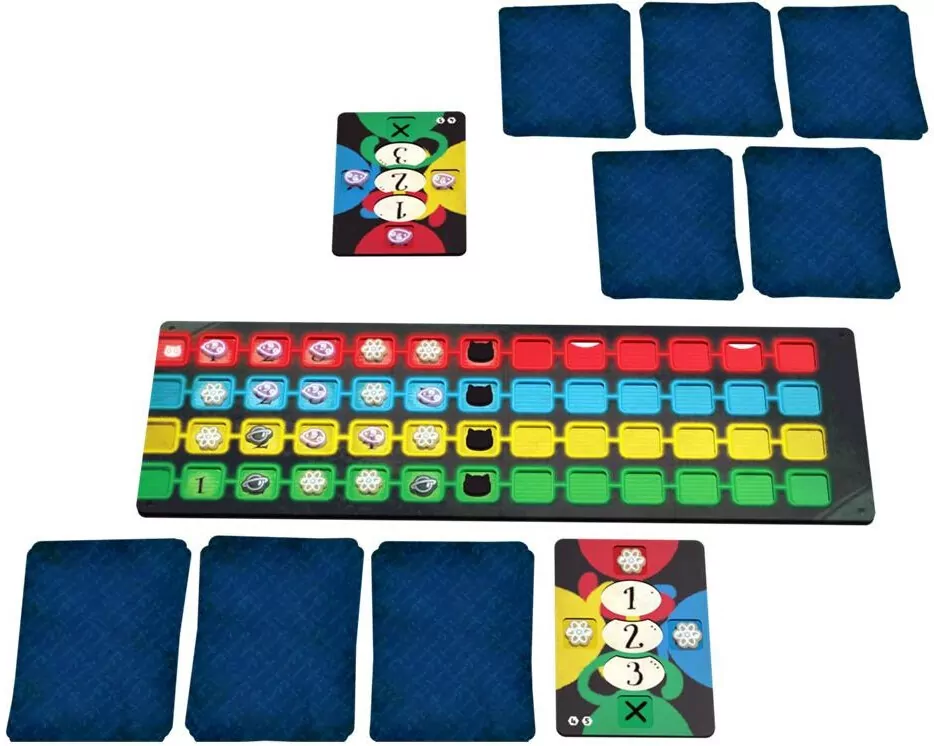 Cat in the Box - tantis.pl