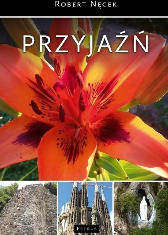 Przyjaźń Album - tantis.pl