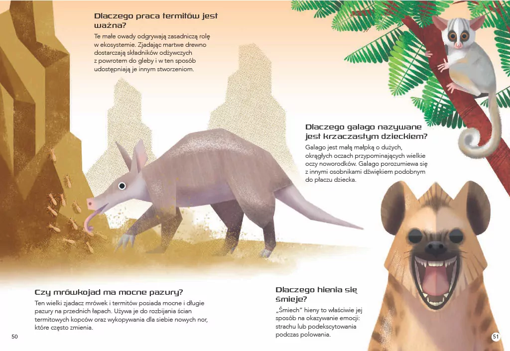 200 ciekawostek. Zwierzęta świata - tantis.pl