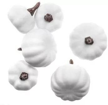 Mini dynie mix 6szt białe - tantis.pl