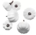 Mini dynie mix 6szt białe - tantis.pl