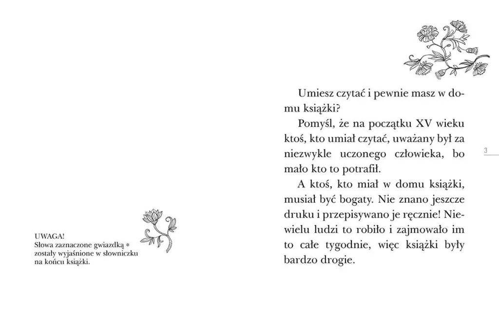 Tajemnica Nawojki. Czytam sobie. Poziom 3 - tantis.pl