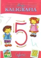 Cyferki. Moja kaligrafia - tantis.pl