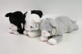 Kot 40cm MIX - tantis.pl