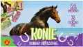 Alexander. Domino obrazkowe, konie - tantis.pl