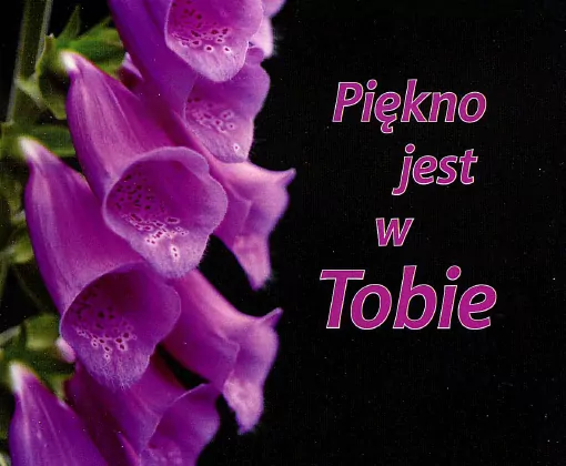 Piękno jest w Tobie - tantis.pl