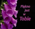 Piękno jest w Tobie - tantis.pl