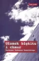Ułamek błękitu i chmur TW - tantis.pl