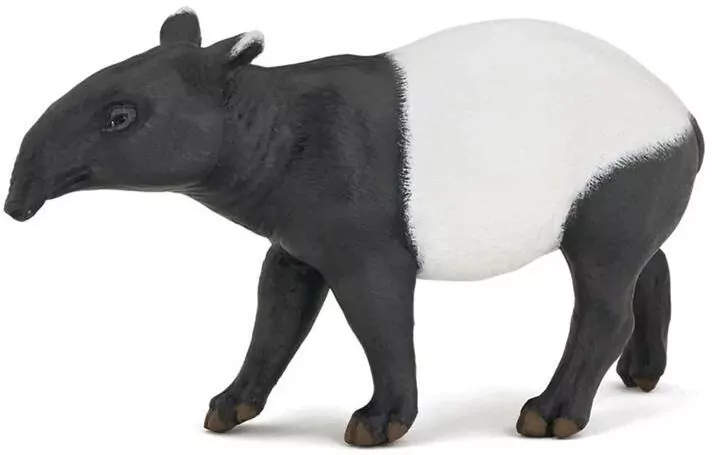 Tapir - tantis.pl