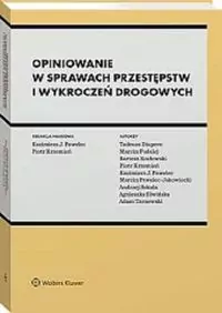 Opiniowanie w sprawach przestępstw i wykroczeń drogowych - tantis.pl