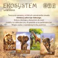Ekosystem 3. Sawanna - tantis.pl