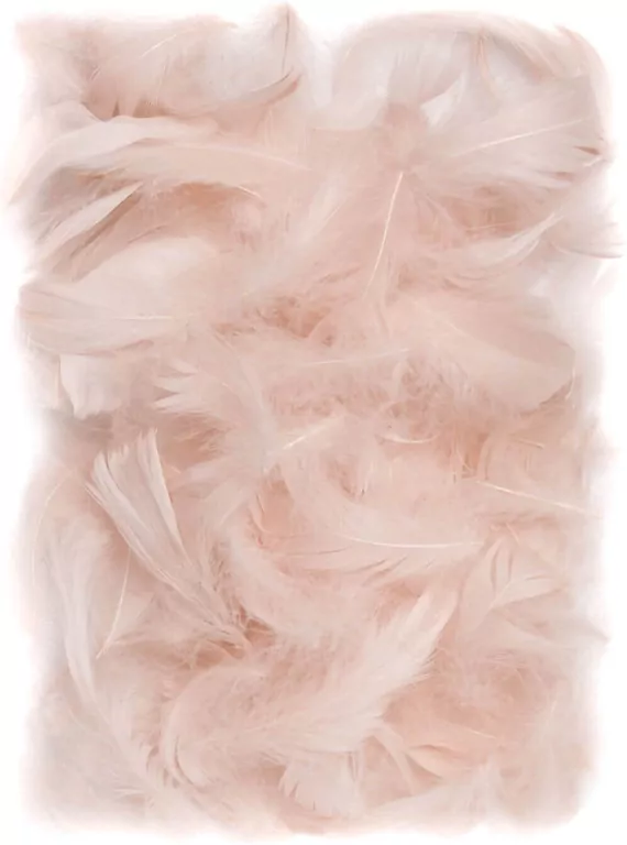 Piórka  5-12 cm, 10 g nude (beżowy) (CEPI-022) - tantis.pl