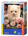 Puzzle 300. Pomeranian Puppy in Roses. B-030552 - tantis.pl