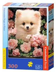 Puzzle 300. Pomeranian Puppy in Roses. B-030552
