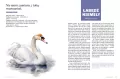 Głupie ptaki Polski. Przewodnik świadomego obserwatora - tantis.pl