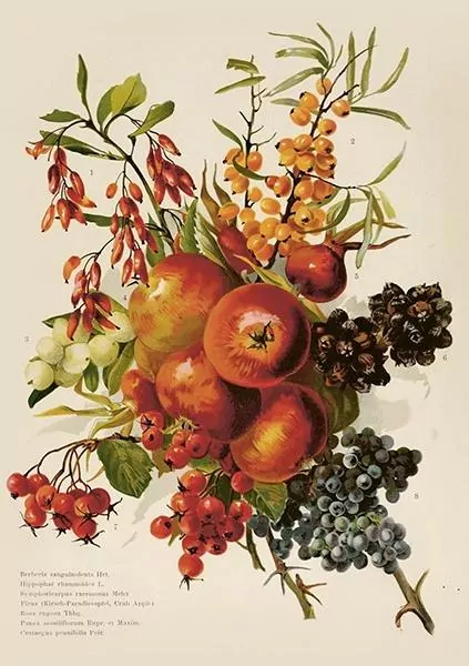 Karnet ST515 B6 + koperta Jesienny bukiet - tantis.pl