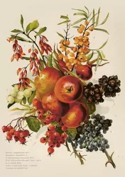 Karnet ST515 B6 + koperta Jesienny bukiet