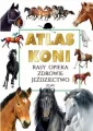 Atlas koni - tantis.pl