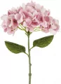 Hortensja różowa 35cm - tantis.pl