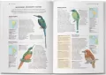 Encyklopedia ptaków świata - tantis.pl